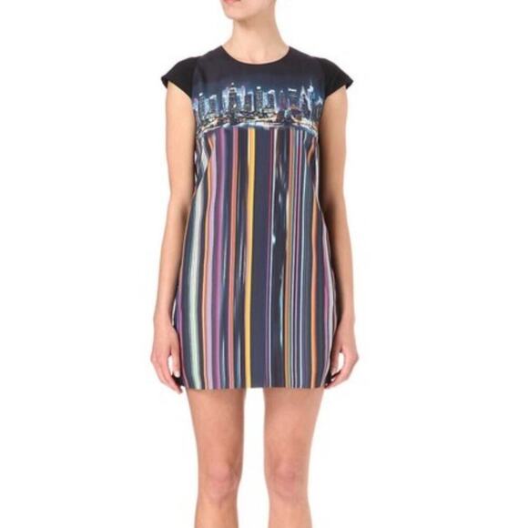 Ted Baker London Nula Skyline Dress Size 0 - Picture 1 of 5